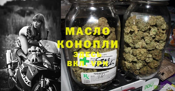 СК Вязьма